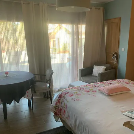 Le Clos Du Pontet Bed & Breakfast Orlienas